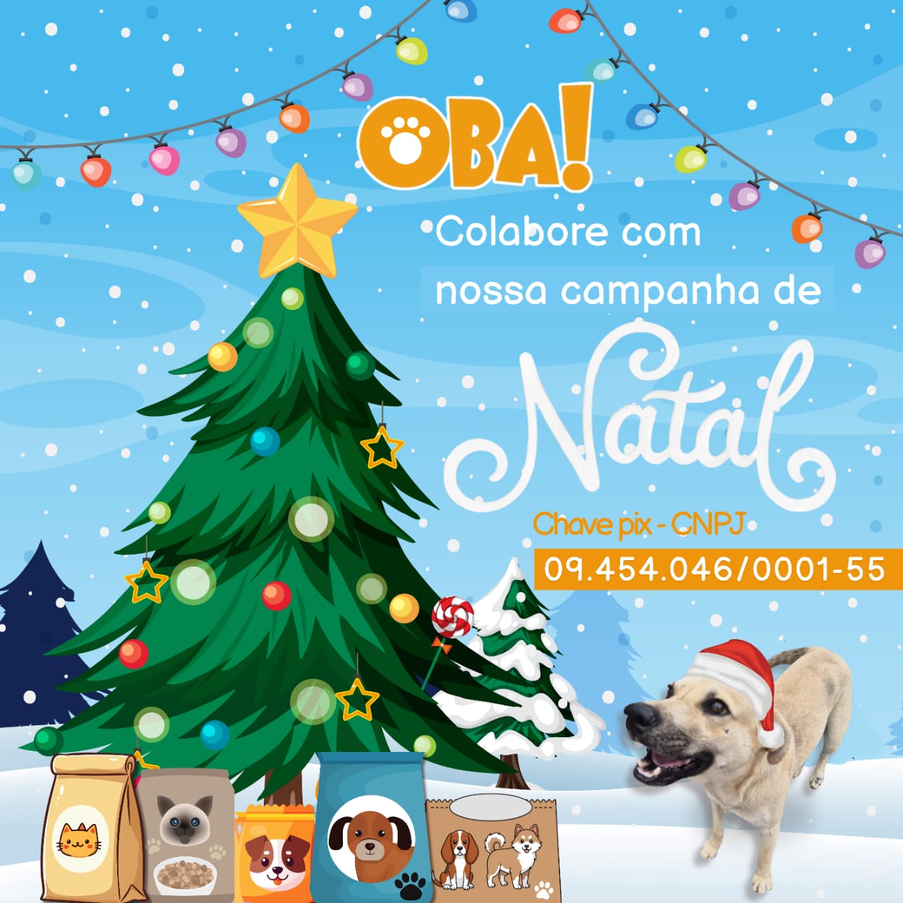Campanha de Natal OBA
